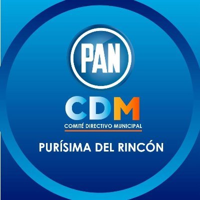 PARTIDO ACCIÓN NACIONAL PURÍSIMA DEL RINCÓN, GTO.