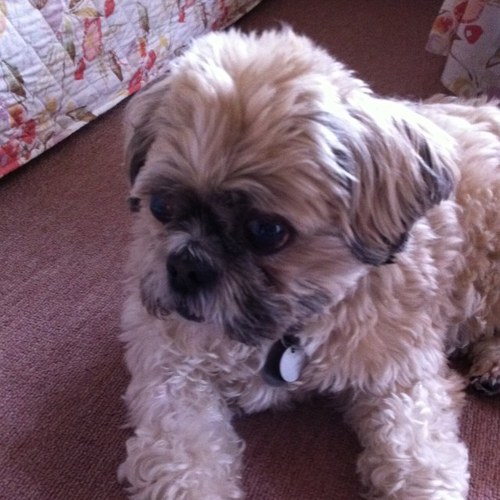 mustacheB's profile picture. 神戸出身。大学まで体育会サッカー部在籍。もの作ってなんぼの商売が、性に合うのでメーカーに勤務。311以降、縁あって岩手県釜石市を応援。