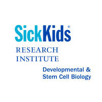 SickKids Developmental & Stem Cell Biology Program (@skdevstemcell) 's Twitter Profile