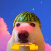 Susi (@susiglue) 's Twitter Profile