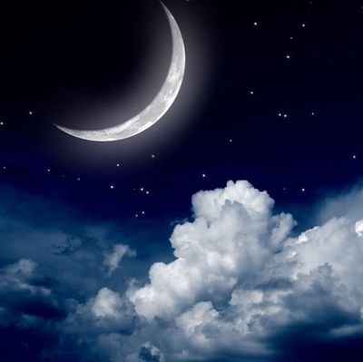 Z_Jose_Z's profile picture. 