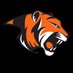 Georgetown College Tigers WBB (@GC_TigersWBB) Twitter profile photo