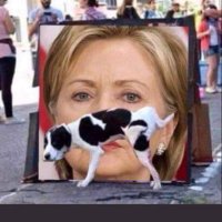 Brown🇺🇸 (@myshellbn) 's Twitter Profile