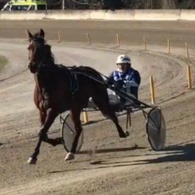 RobertoPuccini3's profile picture. 