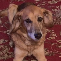 Heather (@heathcbm) 's Twitter Profile