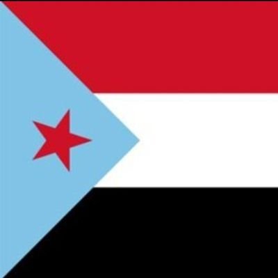 دوله الجنوب العربي