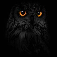 Lá casa de drama (@gurich6969) 's Twitter Profile