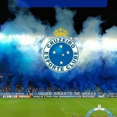 Bruno13957157's profile picture. empatia pelo próximo