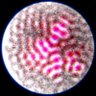 ciphrd's profile picture. Generative artist interested in autonomous systems from which life-like behaviors emerge. Founder of @fx_hash_