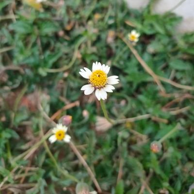 babyboo_ja's profile picture. 