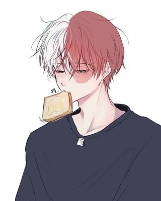 Todoroki pisame