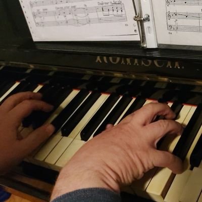 Pianista y organista aficionado, operópata de corazón, exmiembro de coros.