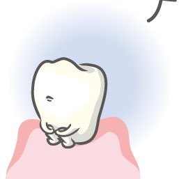 前歯さんのプロフィール画像