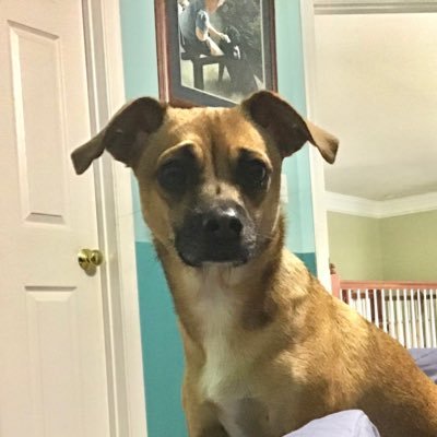 WorldlyNoodle59's profile picture. https://t.co/KofVXwFLBP