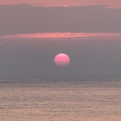 sRX00LynhvxYmaT's profile picture. 공기반 최루가스반