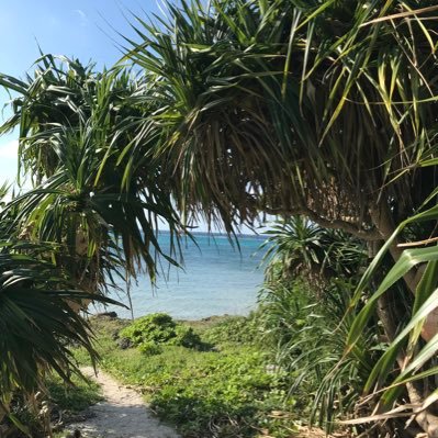 manma_maruru's profile picture. お馬さん大好き。鳥さん大好き。🐎🦅🐶😸生き物が大好きです。私の1番の癒し。榛名湖のかんたろうくん🐴