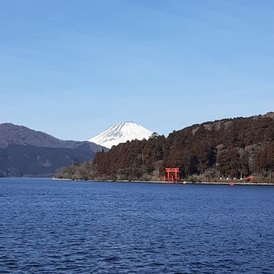 MTsukane's profile picture. 