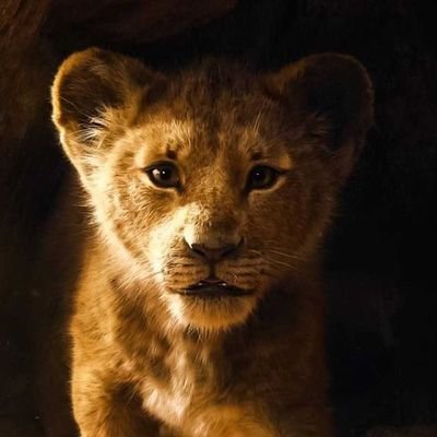 Dennisohking44's profile picture. Social, kind, always happy