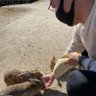 tunahiki69's profile picture. 仕事も遊びも一生懸命
今日も元気に……

食べること好きなので…
#今日のつな飯