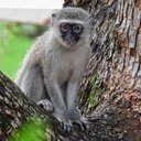 Stephen Heuer - @HeuerStephen - Twitter