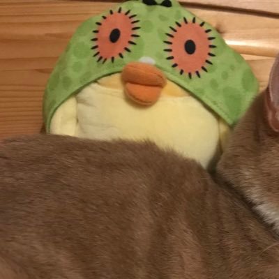 くしやきさんのプロフィール画像
