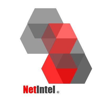 Netintelsa's profile picture. Digital Marketing designed for small businesses.
Online Ads | Digital Marketing | Web Design