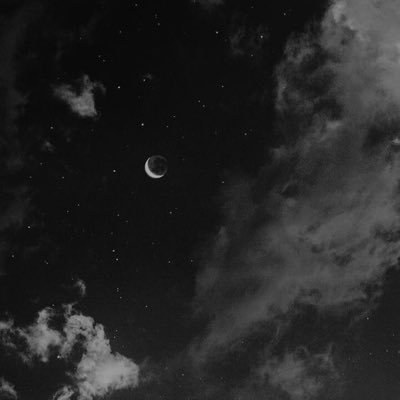 not_afool's profile picture. after a year, I finally let go