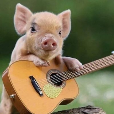 ReallySleepyJo1's profile picture. “Unless you’ve looked into the eyes of menacing death and felt its cold breath, you can’t help another rise from the dead and taste anew the joy of being alive”