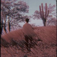 elroblez (@elroblez_) 's Twitter Profile