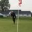 Brad Peterson 🏌🏻