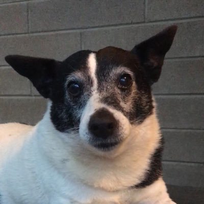 kyliesmiley77's profile picture. From Australia 🇦🇺 42 ,F