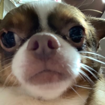 haruki_snapu's profile picture. Haruki Sadasueです
スナップ上手い人