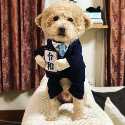 TMNETWORKの出戻りFANKS&SMAP初心者ファンです。Twitterはあまり呟く事は無いですが、よろしくお願いします。