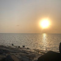يوسف (@youssifsa_) 's Twitter Profile