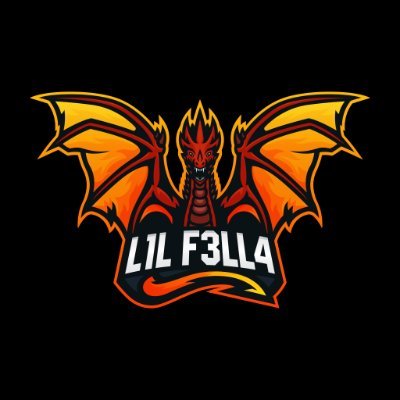 L1L_F3LL4 Profile Picture