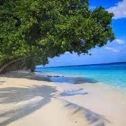 luka42396324's profile picture. Cruel letter