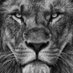 محمد (@moha_mw) Twitter profile photo محمد (@moha_mw) Twitter profile photo