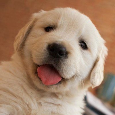 LordJalvfx's profile picture. | 15 | 🇹🇷 | Valorant & Fortnite Editor | 1.4k on twitch |