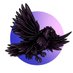 CrowFinance #BSC (@crowfinance) Twitter profile photo CrowFinance #BSC (@crowfinance) Twitter profile photo