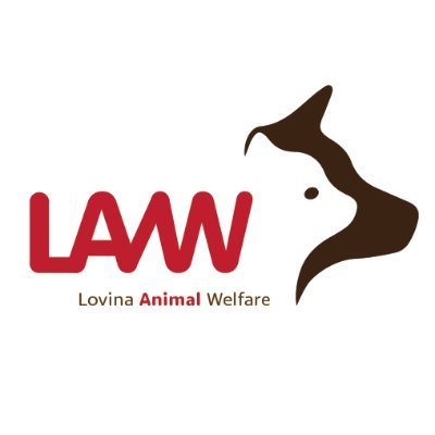 Lovina Animal Welfare