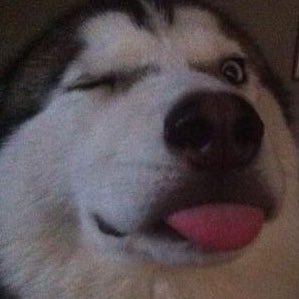 21 - she/her - MDNI - welcome welcome! Im just a girl who post my buTT n stuff - 💜H&G&B❤️ - DMs semi open but no promises - enjoy yourself~