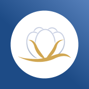 AbrapaBrasil's profile picture. Associação Brasileira dos Produtores de Algodão