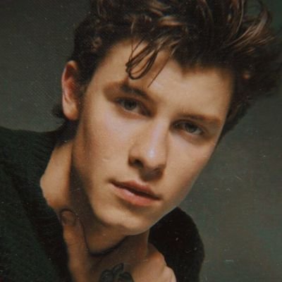 daily content of the three times grammy nominated singer and songwriter Shawn Mendes