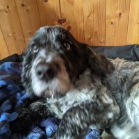 Ruaridh Miller (@millerruaridh) 's Twitter Profile