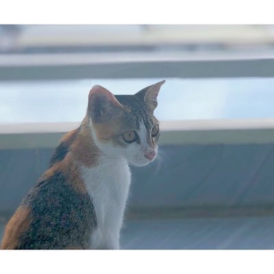 YyMokee's profile picture. 