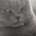 Ольга (@7oax9upgru5j8zt) Twitter profile photo Ольга (@7oax9upgru5j8zt) Twitter profile photo