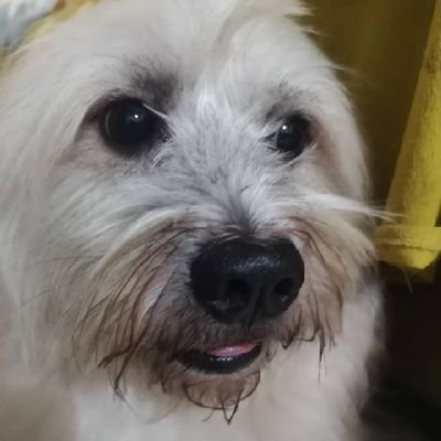 CarolLucido3's profile picture. Member of a book club