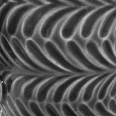 5_u_u_6's profile picture. 成人済