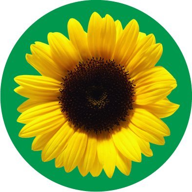 HiddenNederland's profile picture. Het dragen van de Hidden Disabilities Sunflower wijst mensen in je omgeving (waaronder personeel, collega's en zorgverleners) er discreet op dat je misschien ex