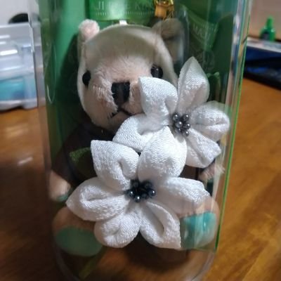 kirarin_rF's profile picture. 本垢  声優♡森久保祥太郎さん浪川大輔さん大好きです❤🌸Clap9th🌸🐶チワワ娘

京都大好き人、カフェ☕巡り
薄桜鬼 推し

無言フォロー✋一言✋🈲
⚠無断転載NG‼ 推しの
フォローはしてません